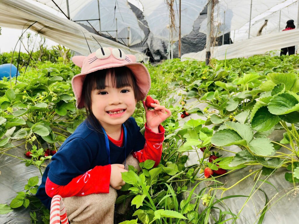 Giờ học tiếng Anh song ngữ tại FBK